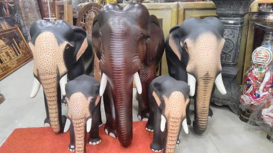 ROYAL INDIA's PAYYANNUR METALS(CALTEX)